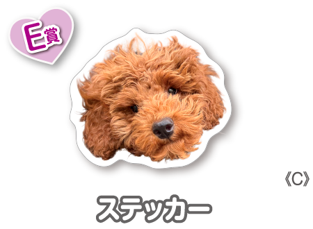 作品TOP ｜限定グッズのカプセルプライズ ウェブポン